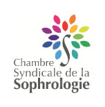 L’attribut alt de cette image est vide, son nom de fichier est logo-css.jpg.